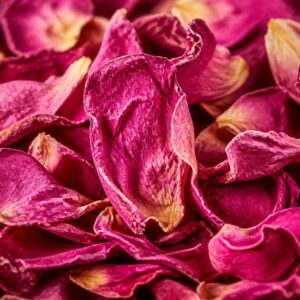 گلبرگ گل محمدی خشک ۵۰۰ گرمی ممتازینو